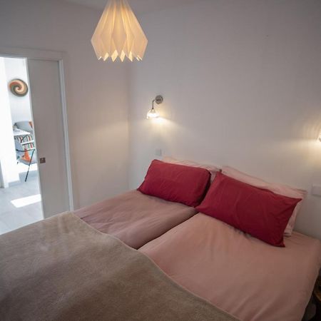 Quinta Do Gato Preto Villa Silves Dış mekan fotoğraf